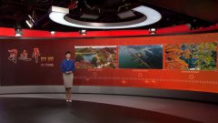 澳门金沙赌场_澳门金沙网址_澳门金沙网站_今天的《习近平时间》